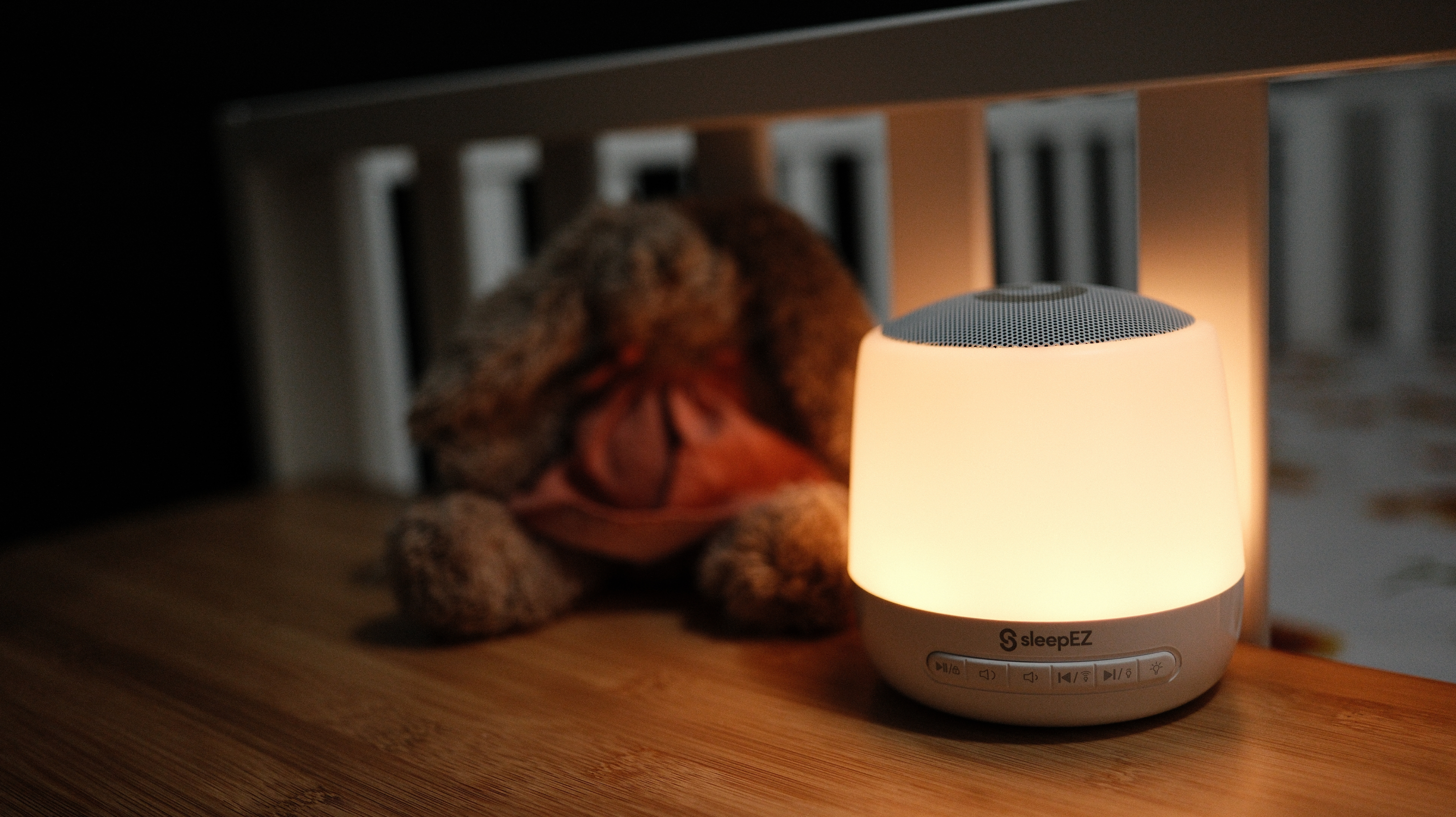 Main Hush lamp image